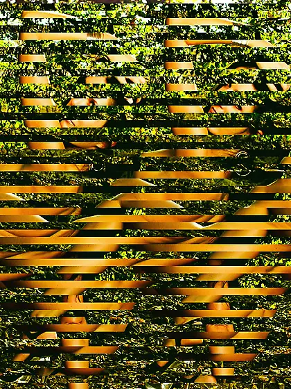 The brunette milf India Summer has hidden under big trees and sh