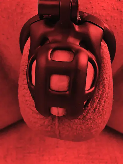 The Scarlet Mistress: Bound by Desire