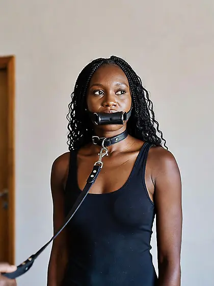 silenced and leashed are the best niggers