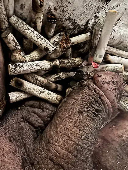 Submissive sissy faggot ashtray and toilet.