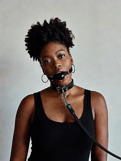 silenced and leashed are the best niggers