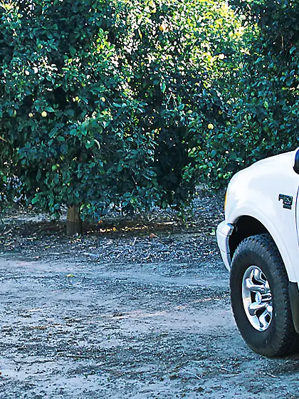 Hot busty blonde babe Sky Lopez strips her mini skirt and finger