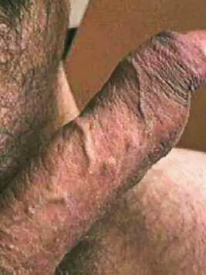 dick docking delights