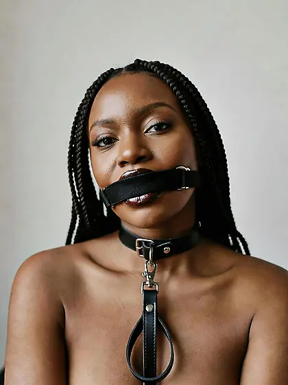 silenced and leashed are the best niggers