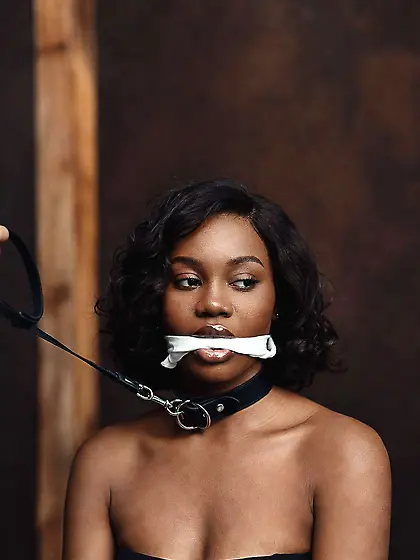 silenced and leashed are the best niggers