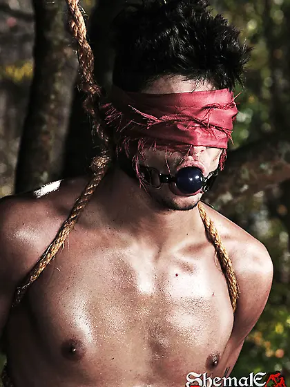 Two horny trannies fuck a guy