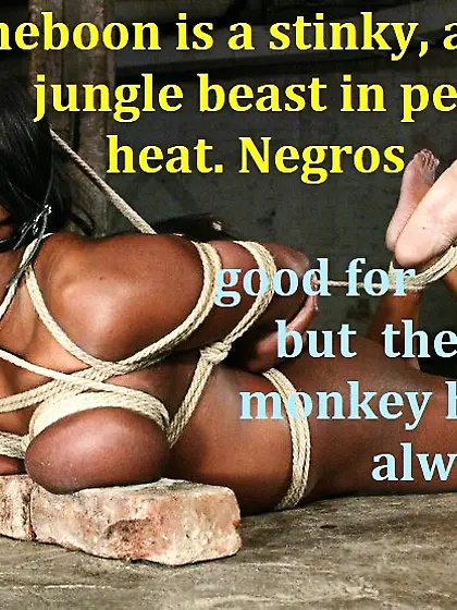 Zooology: Sheboons,  Nasty Monkeys