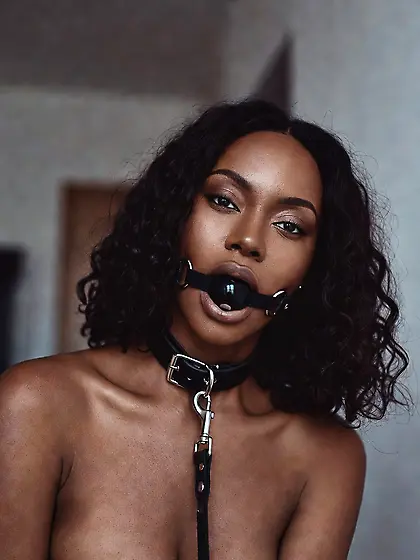 silenced and leashed are the best niggers