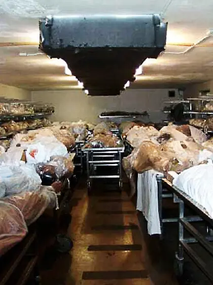 Real naked bodies wrapped in plastic