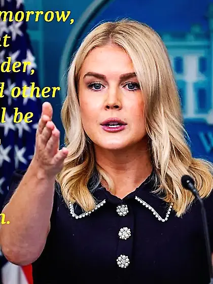 Hottest Fascist Since Lisa She,  Wolf Of The SS