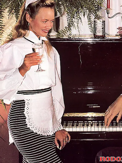 Sexy retro house maid