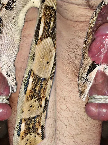 penectomy fantasy my cock