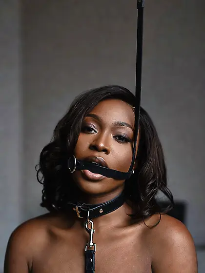 silenced and leashed are the best niggers