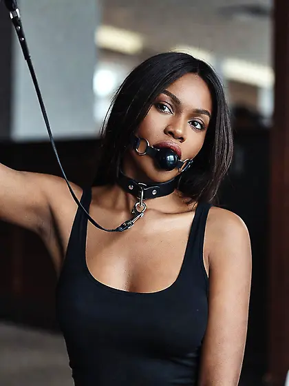 silenced and leashed are the best niggers