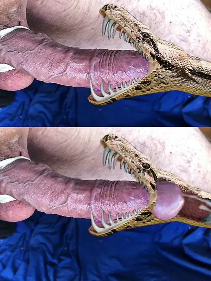 penectomy fantasy my cock