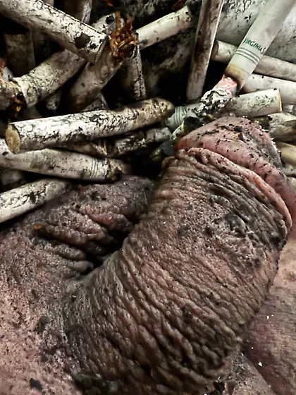 Submissive sissy male ashtray