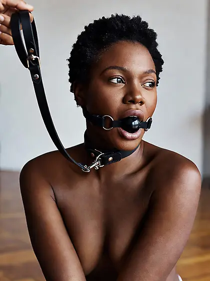 silenced and leashed are the best niggers