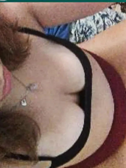 Cute Butterfly DragonModel