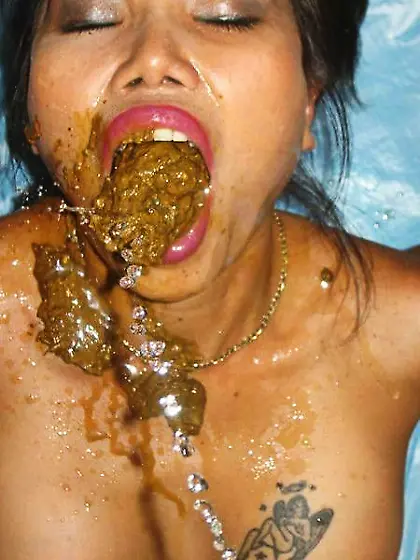 Honey Bee is busy eating