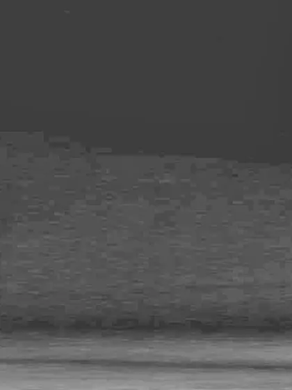 Damsels are just uber-cute!