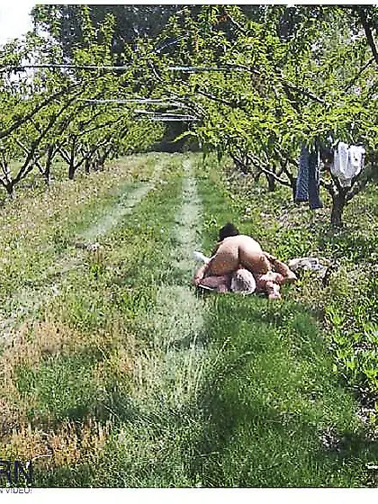 So you think we have not seen you ?