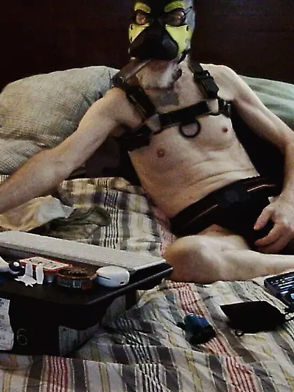 Sleazy pup ready tp play