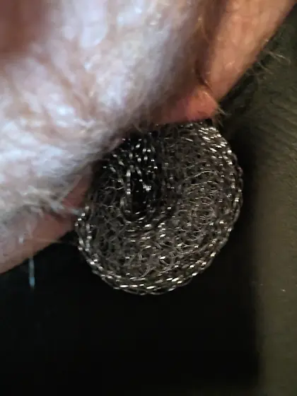 Steel wool for my cunt on the go