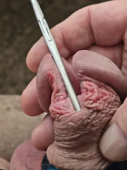 Time for more cutting