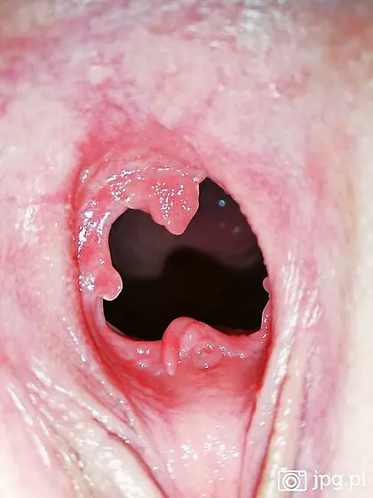 Kamerki na żywo priv za 250