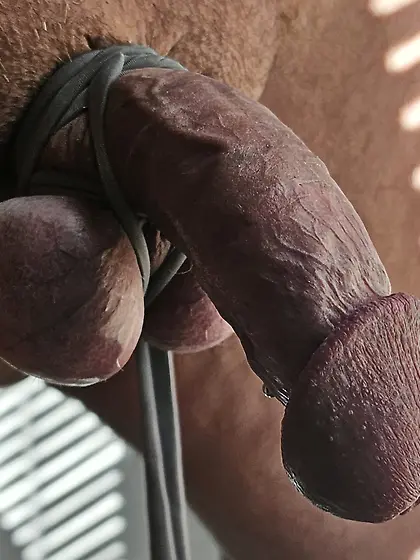 Cock and Balls Tied Up