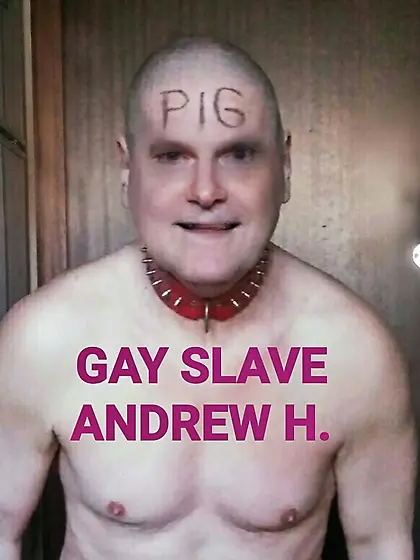 The bald gay porn slave Andrew shows himself naked