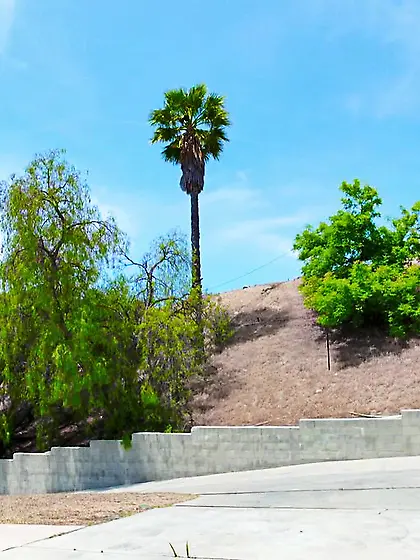 Naughty tiny blondie loves