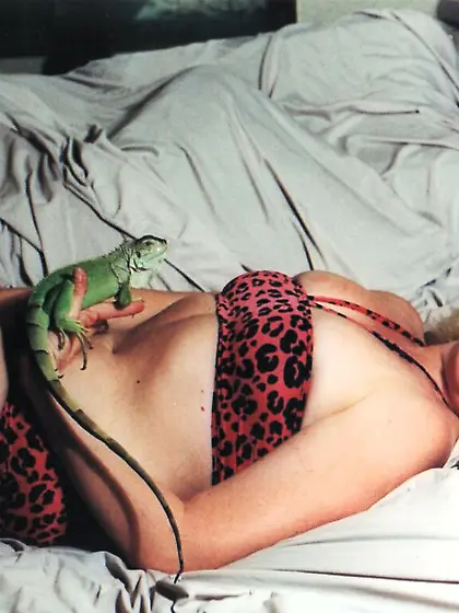 Sunshine's Casting-S1