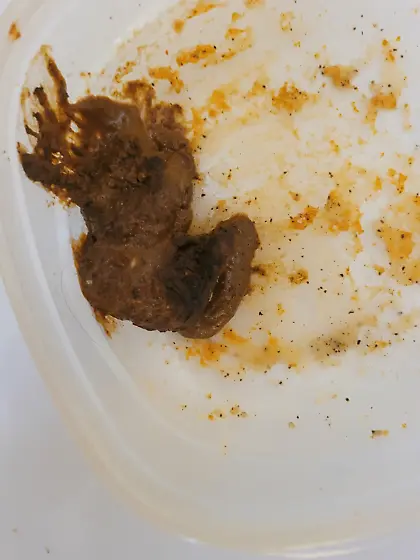 Recycled lasagna for dip