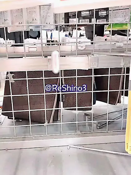 Public baiting and masturbation