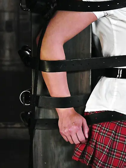 Dark haired schoolgirl gets used in the dungeon