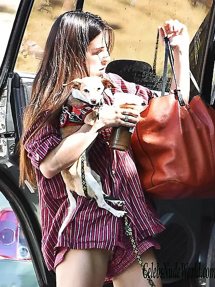 Scout Willis Upskirt – Possible Pussy In Hollywood