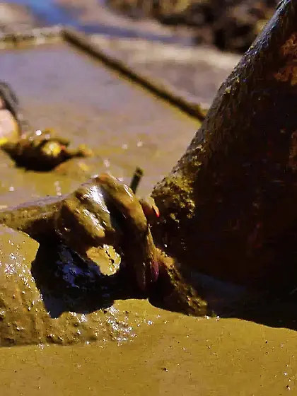 Rada Brewer on the farm