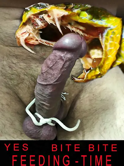 Penectomy Fantasie für meinen Schwanz