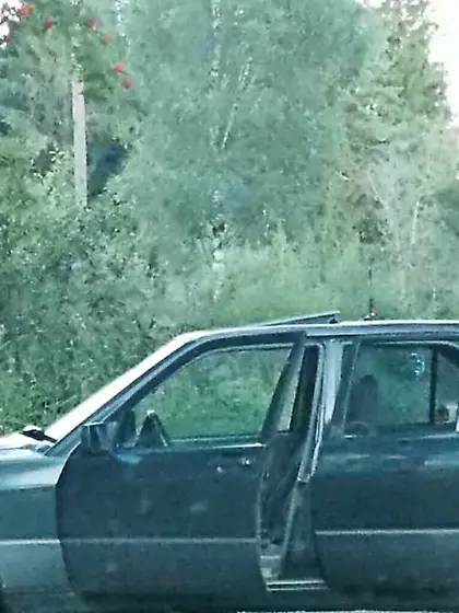 Prostitute street hooker pimp