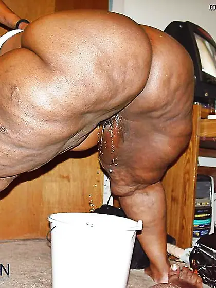 Goddess bee afrofreak