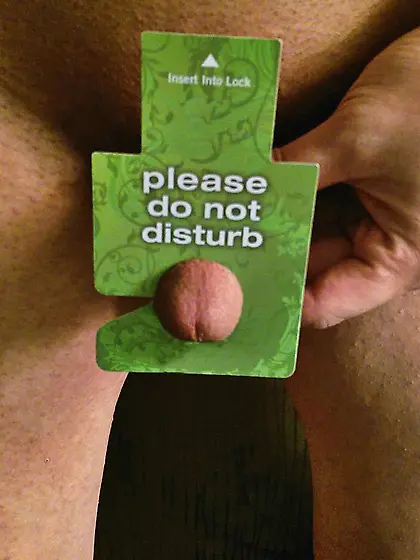 Cuckold Working- Do Not Disturb