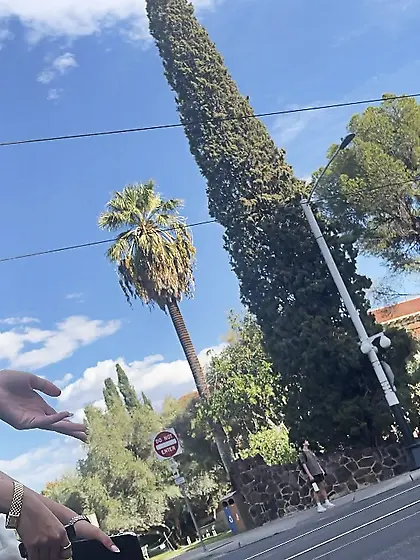 Candid Girls - Ass,  Tits,  Face