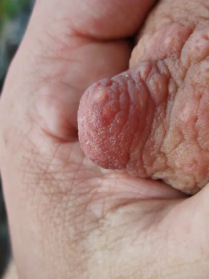 Fucking and sucking outdoors in a public park