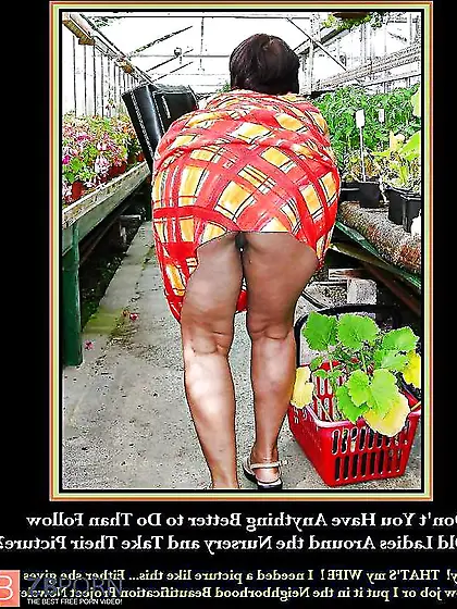 Funny Captioned images