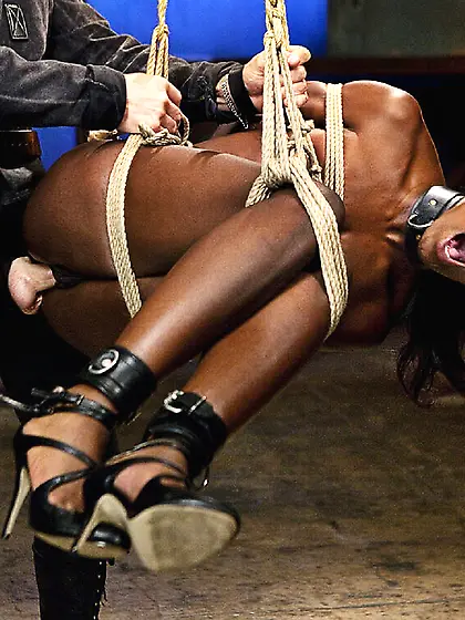 Le paradis noir,  the black paradise82