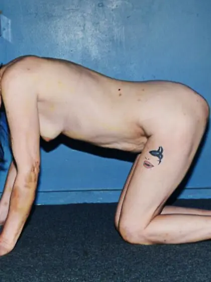 Skanks,  Ho's and Hookers