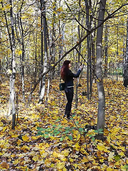 On Carpet from Yellow Leaves