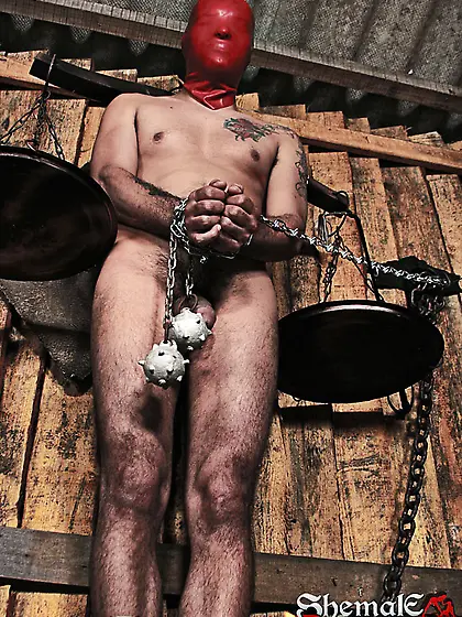 Submissive guy gets fucked by nasty shemales