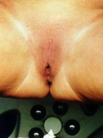 Je désire avoir un sexe comme celui là